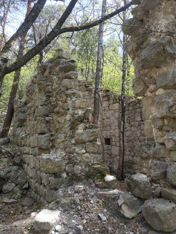 Сотрудники музея-заповедника провели мониторинг двух Таргимских храмов святилищ, расположенных в 2 км севернее поселка Таргим, на горном склоне правого берега реки Ассы. Памятники полуразрушены, сохранность около 20-30 %.  

Первый храм представляет собой здание простой зальной композиции с одной апсидой и поперечной аркой, столпы которой незначительно выступают от кладки стен. На северной стене сохранились фигуры человеческих силуэтов.  Внутри помещение завалено камнями. 
Рядом с храмом расположена полуподземная усыпальница.

У второго храма сохранилась лишь центральная часть (церковь) 75-80%. Отличительная особенность храма – наличие подземной склеповой усыпальницы, лаз в которую был устроен под западной стеной храма.

Сотрудниками музея-заповедника были проведены обмеры объекта, произведена фотофиксация. Состояние культовых памятников оценивается как крайне критическое.  Исследователи датируют эти памятники X-XI вв.