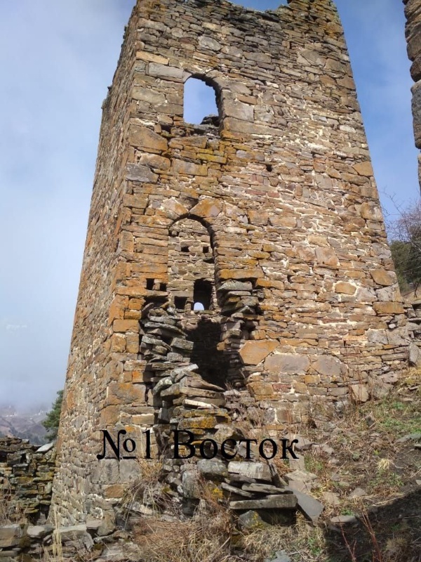 В 800 м. юго-восточнее Тумги находится небольшой, малоизвестный башенный комплекс замкового типа - Хашале, в составе которого имеются относительно хорошо сохранившиеся 1 полу боевая, 4 жилые башни, 1 склеповый могильник. 

Местные башни были зафиксированы и обследованы Чахкиевым Д.Ю. в 1980 г., который отмечает, что в комплексе имеются 4 башенного строения позднего средневековья с разнотипными конструктивными деталями и полуразрушенная коллективная усыпальница.

В нашем материале впервые дается описание пообъектного состава комплекса.

Полубоевая башня №1 -  размеры в основании ( 4*6 м.). Постройка трёхъярусная, частично разрушена, крыша отсутствует, на восточной стороне на втором и третьем ярусах имеются два входа-лаза, вход на первый ярус обвален. Северная сторона глухая, на западной и южной сторонах имеются отверстия-бойницы, также на южной стороне имеется руинированная пристройка с сохранением основания.

Жилая башня №2 -  размеры  в основании (7*14 м.) Постройка расположена по склону холма, разрушена и в крайне аварийном состоянии, северная сторона обвалена,  крыша отсутствует, на восточной стороне имеется арочный заваленный вход.

Жилая башня №3 -  размеры  в основании (4* 7м). Разрушенная и в крайне аварийном состоянии постройка, крыша отсутствует, на южной стороне сохранились арочный вход и лаз, последний расположен с левой стороны над входом.

Жилая башня №4 -  размеры  в основании (8*4 .м).  Частично разрушенная постройка, крыша отсутствует, с северной стороны заглублена в склон горы, на западной стороне один над другим расположены два арочных входа, с внутренней части южной стены расположены ниши-углубления и одно сквозное отверстие-лаз.

Жилая башня №5 -  размеры  в основании( 10*5 м.) Разрушенная и крайне аварийная постройка, крыша отсутствует, северная и восточная части разрушены до основания.

Склеповый могильник №6 -  размеры  в основании (3,30 *3,20 м.) Разрушенная и крайне аварийная постройка, расположена на склоне холма, крыша – пирамидально-ступенчатая, сохранилась  на половину, восточная и северная части склепа обвалены, на западной и северной стороне наличествуют лазы-отверстия.

Полевой материал. Публикуется в целях зашиты, сохранения и популяризации объектов культурного наследия.