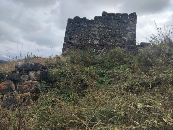 И.о. директора Джейрахско-Ассинского музея-заповедника Ахмедхан Сампиев совместно с сотрудниками совершил обход башенного комплекса «Дошхакле», где очень скоро начнутся подготовительные работы, направленные на сохранение объектов культурного наследия.  

Башенный комплекс Дошхакле — башенное поселение замкового типа на отроге горы Цей-Лам в Галгаевском ущелье высокогорной Ингушетии. Сейчас в нем фиксируется сильно повреждённая шестиэтажная боевая башня в комплексе с 8-ю полуруинированными жилыми башенными сооружениями и каменной оборонительной стеной позднего средневековья.

Боевая башня, находящаяся в центре замка, в плане квадратная, достигала 28 метровой высоты и имела ступенчато-пирамидальную крышу, которая была буквально срезана в результате удара молнии в 1958 году. Своим сводчатым дверным проемом, ведущим сразу на второй этаж, она ориентирована на юго-восток. Жилые башни замкового комплекса в плане прямоугольные или трапециевидные, располагали 2—3 этажами, плоской крышей с высоким парапетом. В их сохранившихся частях стен можно видеть разнотипные сводчатые дверные и оконные проемы, хозяйственные и оборонительные ниши, бойницы, камни-коновязи и прочие конструктивные детали. Одна из башен была искусно приспособлена под оружейную мастерскую, в которой местные многоопытные ремесленники изготовляли качественные сабли, шашки, кинжалы и разносортный порох.

В 1,5 км западнее поселка Дошхакле, на южном склоне фиксируется уже полуруинированный крупный храм-святилище «Дяла» позднего средневековья. На территории комплекса также имеются циклопические сооружения.

По результатам проведенных работ будут составлены акты технического состояния объектов и направлены в вышестоящие организации.
