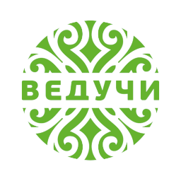 Ведучи