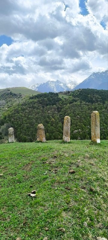 По пути из башенных поселений Мецхала в Гаракх, в полукилометре восточнее Фалхана, на гребне холма расположены 4 стелы. Это место в народе до сих пор так и называется: "Ди1 чурт даг1ач".

Примечателен тот факт, что, несмотря на кажущуюся аналогичность, стелы имеют разную высоту от 1 до 1.6 метра. Интересно, что на одной из стел видны остатки высеченного рисунка, в виде башни, и элементов орнамента. Так же имеются остатки арабской вязи.

По преданиям, в старину, у жителей окрестных сел это место считалось благодатным. Здесь собирались жители близлежащих поселений для примирения сторон и решения общественно-значимых вопросов.  

Чуть дальше от стел, в сторону Мецхала находится одинокая могила старушки - целительницы из Гаракха, из рода Джаниевых. Передается что она, несмотря на уговоры родственников быть похороненной на родовом кладбище, завещала похоронить ее здесь, из-за благодати данного места.