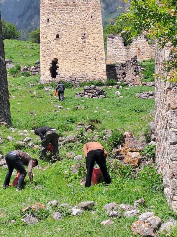 Сотрудники Джейрахско-Ассинского музея-заповедника и Комитета государственной охраны ОКН провели субботник на прилегающих территориях архитектурного комплекса «Эгикал», храмов «Тхаба-Ерды» и «Альби-Ерды». 

Сотрудниками был собран бытовой мусор и вывезен в специально отведенное место, также территория комплексов была очищена от сухостоя. 