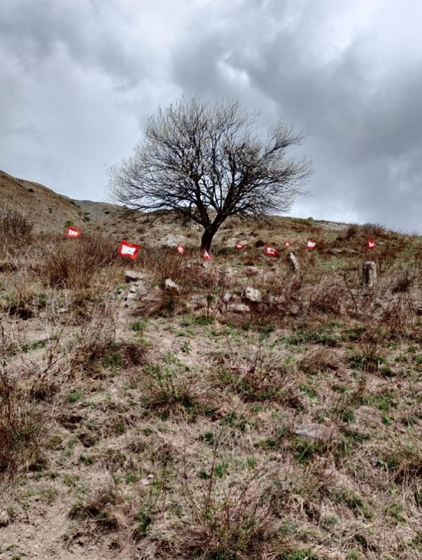 На территории башенного комплекса «Тярш» выявили ранее не учтенные ОКН.
 
В эти дни сотрудниками музея-заповедника, в рамках плана работ по выявлению и учету ранее неучтенных памятников архитектуры, на территории башенного комплекса «Таьрш» выявили раннее не учтенное раннемусульманское кладбище с 9 стелами. 
 
Тярш — крупный башенный поселок замкового типа, расположен на отроге горы Маьт-Лоам, в 0,9 км восточнее комплекса «Эгенты». 
          
Сотрудниками учреждения были проведены обмеры объектов, произведена фотофиксация. Высота стел от 30 до 50  см., расстояние между ними от 1 до 3 м.  После проведения соответствующих работ, объекты будут внесены в перечень выявленных объектов культурного наследия республики.