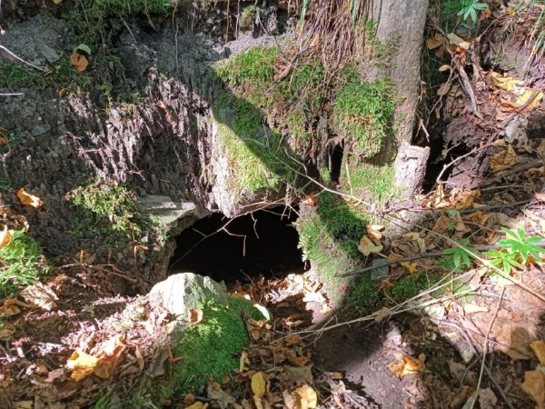 17 августа в ходе очередного осмотра, сотрудниками музея-заповедника на территории архитектурного комплекса «Верхний Пуй» обнаружены, ранее не учтенные 3 подземные склеповые усыпальницы. 

«Верхний Пуй» – небольшой башенный поселок замкового типа, расположен в Джейрахском районе, южной части Таргимской котловины, под горой Молельня. Состоит из одной полубоевой, которая сохранилась на высоту четыре яруса и полуразрушенных жилых 
башен.

Обнаруженные склепы расположены в 150-300 м. юго-западнее комплекса в лесном массиве.

Выявленные объекты культурного наследия для обеспечения их целостности и сохранности, проведя соответствующие  работы, будут включены в перечень выявленных ОКН Республики Ингушетия.