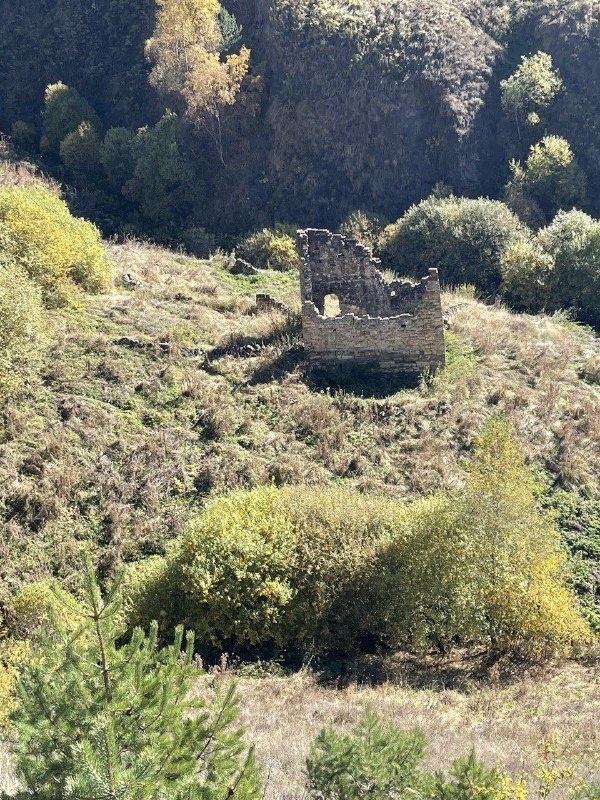 Сотрудники Джейрахско-Ассинского музея-заповедника, во время мониторинга башенного комплекса «Мухул», произвели фотофиксацию петроглифов, расположенных на жилой башне комплекса. Мухул – башенный комплекс к северо-западу от Гвези.

Петроглифы на камнях встречаются на всей территории горной Ингушетии – это одни из важных культовых составляющих. Помимо одиночных изображений человека и животных, часто встречаются фантастические и символические изображения, геометрические и другие абстрактные фигуры. Одни из них напоминают солярные знаки, а другие – графические знаки, напоминающие письменность.  Часто можно видеть высеченные на каменных плитах изображения человеческой руки.

Встречаются петроглифы, выполненные в точечной технике. Среди сюжетов петроглифов Ингушетии выделяются жанровые, изображающие сцены охоты, сотворения мира и др. Архитектурные сооружения, на которых они изображены, датируются 14-18 вв., однако совершенно очевидно, что камни с петроглифами в кладке этих башен используются повторно. Об этом свидетельствует расположение камней с петроглифами в кладке, которые отличаются от цвета камней основной кладки. Наибольшее число петроглифов обнаруживается на фасадах жилых башен, реже – на культовых постройках и боевых башнях. Иногда встречаются петроглифы на стелах.

Ингушский поэт А.Т. Хашагульгов, который посвятил много лет сбору этнографического материала, опросил многих стариков, собирая устаревшие слова и фольклорные мотивы, в своём стихотворении отмечает, что значение символов на камнях безвозвратно утеряно:

         Дисад маIан тIапа дешаш,

         Кусташ а кхераш тIа дехка

         ХIанз укхаза юха даьхка,

         Латт вай цар хьаркаш дешаш

(Дзаурова Т. А.-Х.  «Ингушский национальный орнамент»)

Исследователь Дозариев А.С. в своей научной публикации «О некоторых памятниках декоративно-графического искусства ингушей» пишет: 

«Как показывают исследования, нельзя с точностью говорить о том, с какой целью наносились те или иные петроглифы, хотя культово-магический контекст, здесь, кажется нам несомненным. При этом с уверенностью можно заявлять о том, что декоративно-графическое искусство ингушей уходит своими корнями в глубокую древность. Так, при детальном изучении этого культурного явления невозможно не заметить, например, сходства ингушских солярных знаков с изображениями на предметах кобанской культуры Кавказа, обнаруженных тут же в Ингушетии (Луговой могильник, I тыс. до н.э). Известные параллели обнаруживаются также в культуре древних шумеров, иранцев, кельтов и т.д.».

Материал подготовлен в целях защиты, сохранения и популяризации объектов культурного наследия республики. 