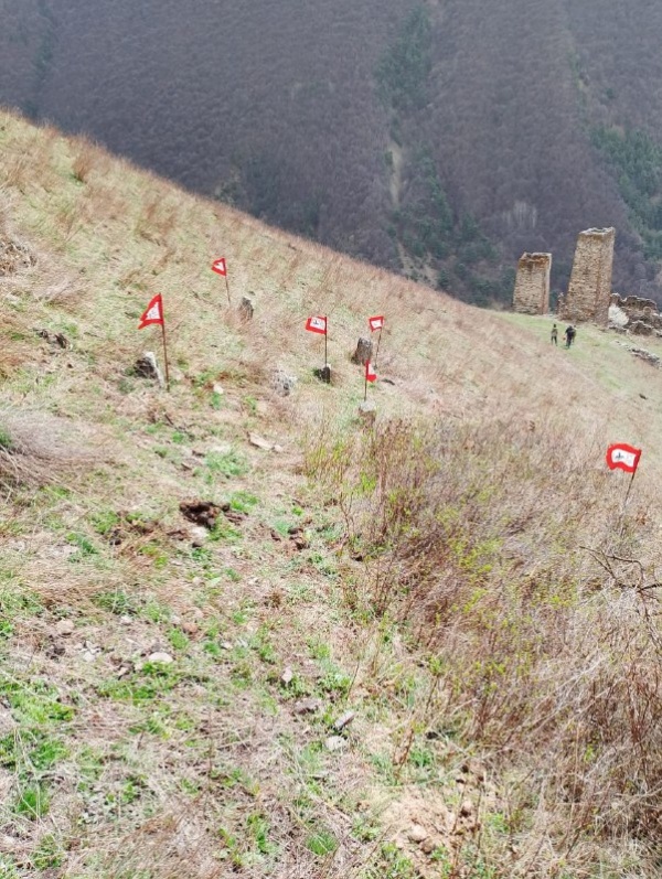 На территории башенного комплекса «Тярш» выявили ранее не учтенные ОКН.
 
В эти дни сотрудниками музея-заповедника, в рамках плана работ по выявлению и учету ранее неучтенных памятников архитектуры, на территории башенного комплекса «Таьрш» выявили раннее не учтенное раннемусульманское кладбище с 9 стелами. 
 
Тярш — крупный башенный поселок замкового типа, расположен на отроге горы Маьт-Лоам, в 0,9 км восточнее комплекса «Эгенты». 
          
Сотрудниками учреждения были проведены обмеры объектов, произведена фотофиксация. Высота стел от 30 до 50  см., расстояние между ними от 1 до 3 м.  После проведения соответствующих работ, объекты будут внесены в перечень выявленных объектов культурного наследия республики.