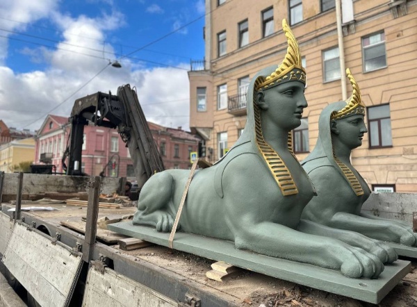 Сфинксов с Египетского моста на Фонтанке в Санкт-Петербурге сегодня снова отправили на реставрацию. Последние подобные работы проводили всего два года назад и все это время сфинксы находились под пристальным вниманием специалистов Музея городской скульптуры. Реставрация будет проведена по гарантии подрядчика.

Пробные фигуры сфинксов первоначально были отлиты в XIX веке на заводе Берда. В начале ХХ века выкуплены купцом Галактионовым и установлены у его дома на Можайской улице.