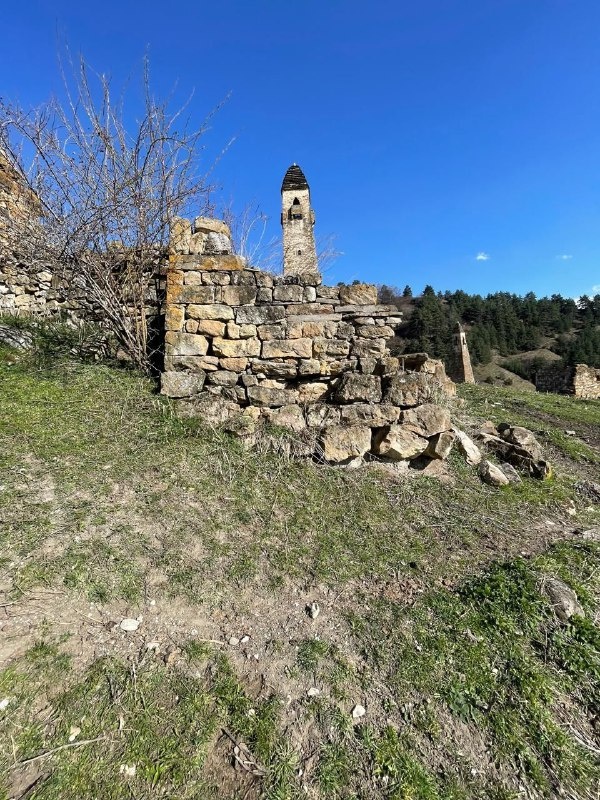 Горная Ингушетия не перестает удивлять нас своими открытиями и своей загадочностью.   Как мы отмечали ранее, на территории Джейрахского района расположено свыше 3000 объектов культурного наследия, которые официально стоят на учете и включены в перечень выявленных ОКН Республики Ингушетия, они имеют название, порядковый номер, определены их локации-месторасположение. Также в нашей базе данных имеются фотографии этих объектов.

Практически ежедневно наши сотрудники, работающие в горной местности, обнаруживают новые объекты, отсутствующие в наших списках.
Не так давно мы начали комплексную работу по инвентаризации памятников старины, и надо отметить, результативность и плодотворность этой работы: только за прошлый год инспекторами музея-заповедника было обнаружено свыше 200 ОКН, не состоящих на учете.

Отдельная работа была проведена по склепам с поминальными камерами, склепами редкого типа, башням, святилищам и ядрообразным мавзолеям. Был проведен мониторинг этих объектов, составлены акты их технического состояния.

В результате последнего совершенного обхода, начальником отдела по обеспечению сохранности памятников,  Зяудином Гуражевым, на территории башенного комплекса «Ний» было обнаружено святилище с поминальной камерой, называемой в народе, ц1ув.

Объект сильно разрушен, сохранность его составляет 25-30 %. Как и у всех аналогичных святилищ, вход в поминальную камеру находится с южной стороны, он полуразрушен. Крыша не сохранилась, обычно такие виды строений имели двускатно-ступенчатую кровлю. Более сохранившаяся часть объект – это первый ярус, предназначавшийся для захоронения умерших. Расположено святилище  в северо-западной части комплекса, на расстоянии 4 метров от жилой башни, рядом с небольшим ручейком.

Объект будет внесен в базу данных учреждения и включен в список выявленных ОКН Республики Ингушетия.