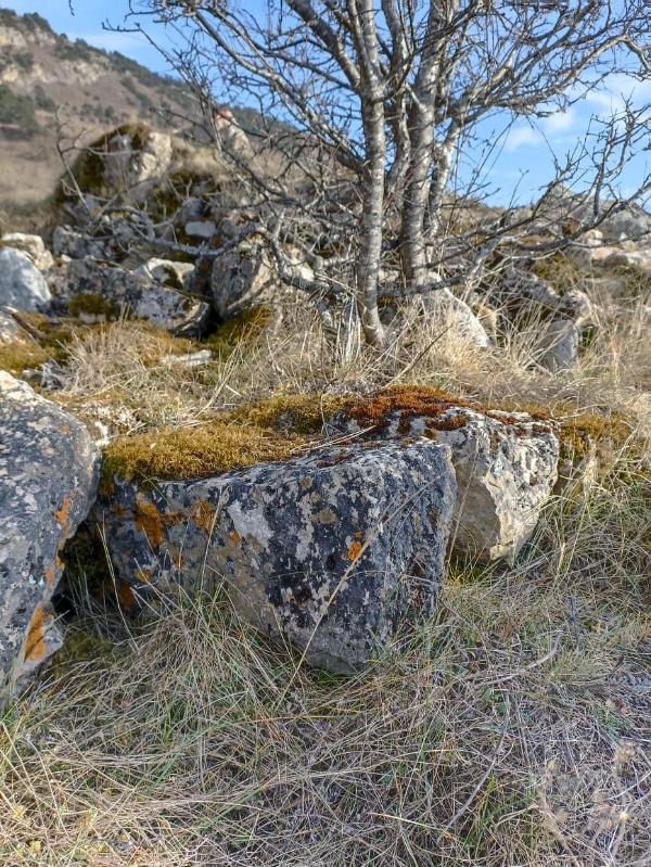 Во время проведения плановых работ по выявлению и учету ранее неучтенных памятников архитектуры, сотрудниками Джейрахско-Ассинского музея-заповедника на территории башенного комплекса «Коали», расположенного на отроге горы Цей-Лоам, в 800 м выше комплекса Герите, обнаружена ранее неучтенная постройка, предположительно, храма-святилища.

Выявленная постройка расположена в западной части комплекса, на пологом горном склоне. Состояние руинированное, сохранилась лишь часть южной стены на высоту до 1 метра. Для получения более детальной информации необходимо произвести археологические работы.

На территории комплекса также находится природный родник, который осенью 2024 г был облагорожен выходцами с этого комплекса.