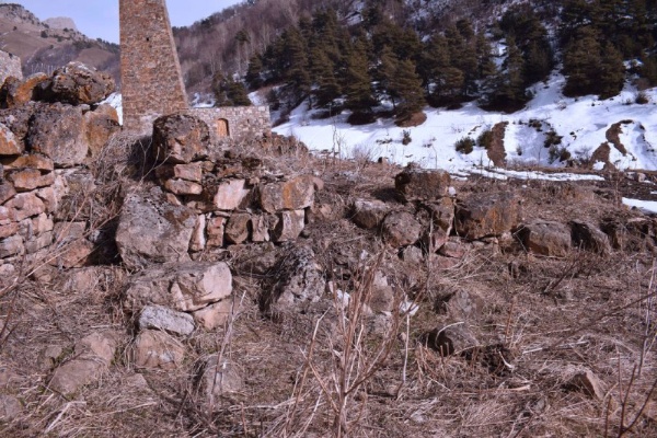 В ходе проводимой работы по сохранению и учету объектов культурного наследия горной Ингушетии, сотрудниками Джейрахско-Ассинского музея-заповедника совместно со специалистами комплексных архитектурных  и реставрационных проектов АСМ ГРУПП, на башенном комплексе «Ний» выявлены, ранее не известные, циклопические постройки - сооружения из огромных нетёсаных каменных глыб безрастворной кладки горизонтального плана, древние каменные жилища.

Циклопические строения – это свидетельства существования древней цивилизации, существовавшей в Ингушетии задолго до письменной истории.  

Нужно отметить, что среди ученных вопрос о датировке циклопических сооружений в течение многих лет остаётся дискуссионным. Проблема датировки мегалитических сооружений сегодня, как и раньше является актуальной.

Л.П. Семёновым и Е.И. Крупновым, после изучения ими  остатков мегалитических построек в ингушских селениях Хамхи, Эгикал, Дошхакле, сделали заключение, что данные циклопические дома – крепости принадлежат к эпохе скифов, т.е. VII-V вв. до н. э. «когда были крепкие родовые устои и все постройки возводились усилиями многочисленных членов рода».

На комплексе «Ний» зафиксированы 2 циклопические постройки, определены их координаты.

Ранее, работа по выявлению и учету циклопических строений была проведена на башенных комплексах: Верхний и  Средний Озик, Дошхакле, Кели, Кхарт, Таргим, Эгикал, Тори, Бархане. 

В последующем они будут поставлены на государственный учет и нанесены на карту.