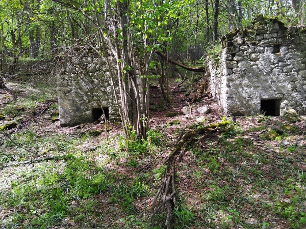 В эти дни сотрудниками Джейрахско-Ассинского музея-заповедника была совершена инспекционная поездка в Средний Оздик.

В 300-400 м. юго-западнее комплекса, в лесном массиве имеется неучтенный небольшой городок наземных, подземных и полуподземных склепов, по предварительной информации, насчитывающий 22 объекта.        

На следующем этапе, сотрудниками будут произведены обмеры, фотофиксация и инвентаризация этих объектов для обеспечения их сохранности и целостности. 

Также они подлежат дальнейшим исследованиям с привлечением сотрудников компетентных учреждений.   