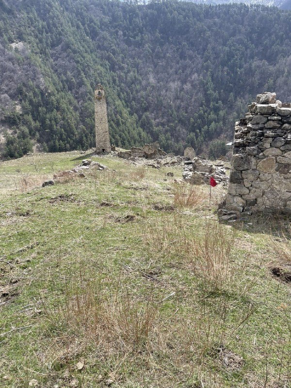 В ходе продолжающейся работы по фиксации и учету объектов культурного наследия горной Ингушетии, сотрудниками Джейрахско-Ассинского музея-заповедника совместно со специалистами комплексных архитектурных  и реставрационных проектов АСМ ГРУПП проведены работы на архитектурных комплексах «Салги» и «Хайрах». 

Инвентаризация ОКН является одной из необходимых составляющих комплексного изучения памятников. В большинстве случаев приходится констатировать, что информация об историко-культурных объектах носит отрывочный характер.  Поэтому важно, чтобы при разработке проектной документации и программных документов по культурному наследию предусматривалось получение систематизированных сведений о том, что из себя представляет объект управления и как организовать его мониторинг.

В результате проведенных мероприятий в Салги зафиксировано 108 ОКН – это 2 боевые, 2 полубоевые башни, 17 жилых  башен, 10 склепов, 1 святилище,  61 погребальных стел.

В Хайрахе зафиксированы и учтены 1 боевая и 13 жилых башен, 5 склепов, 48 стел и руинированные объекты. Всего 73 ОКН, находящиеся в аварийном и руинированном состоянии.  

Документом, отражающим собранную полевую информацию, является «Акт осмотра технического состояния ОКН».

Партнерами проекта являются благотворительные фонды «САФМАР» и «Возрождение».  