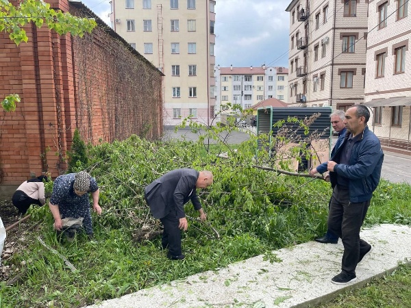 On April 26, the Committee for State Protection of Cultural Heritage of the Republic of Ingushetia together with the State Cultural Institution “Jeyrakh-Assinsky Historical-Architectural and Natural Museum-Reserve” held the All-Russian Saturday clean-up day.