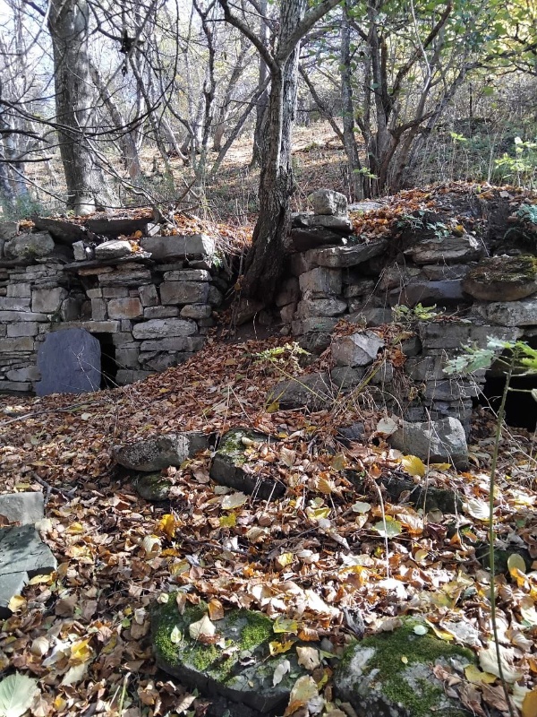 16 октября сотрудники музея-заповедника совершили инспекционную поездку к Шуанскому «Городку мертвых», расположенному в 1,0 км западнее башенного комплекса «Шоан», в местности Мохде.

Масштаб «Шуанкого городка мертвых» (Мохде) впечатляет – это крупнейший в крае и регионе некрополь, состоящий из более 200 подземных и полуподземных коллективных склеповых усыпальниц с останками периода позднего Средневековья.

Они отличаются значительными конструктивными особенностями и разнообразием: полностью погруженные в горный грунт и снаружи заметные по невысоким каменным столбикам и насыпям; с явственной выпуклостью, образованной сводом и невысокой фасадной стенкой с лазом; с подземной камерой, с двускатно-ступенчатой крышей, наполовину выходящей из-под земли.

В плане склепы прямоугольные, а погребальные камеры – часто, с каменными или деревянными полками, небольшими нишами, каменными ящиками, иногда устроенными в боковых стенах, тайниками и иными оригинальными конструктивными деталями.

Некоторые гробницы многокамерные и многоярусные. У ряда усыпальниц задняя стенка образована выступом скалы или выровненного горного склона, а также имеются специальные каменные лежанки для усопших. Крыша у построек чаще двускатная, реже плоская.

Этот уникальный склеповый некрополь стационарно изучался уже с конца XIX века В. Ф. Миллером, В. И. Долбежевым, Л. П. Семеновым, Ё. И. Крупновым, М. X. Катаевым, М. В. Мужухоевым, Д. Ю. Чахкиевым, Е. И. Нарожным, Р. А. Даутовой, X. М. Мамаевым и другими исследователями, в научных трудах которых даются общая и детальная характеристики многим местным гробницам, бытовавшему погребальному обряду, обнаруженным здесь весьма многочисленным и разнообразным находкам (в т. ч. глиняным кувшинам с древнегрузинскими надписями, золотоордынским монетам и т. д.). Результаты новейших научных изысканий позволяют отнести этот могильник в целом ко второй половине XIII—XV вв.

Из отмеченных, 77 могильников состоят на государственном учете, в дальнейшем работа по их включению в перечень выявленных объектов культурного наследия, а затем, после проведения историко-культурной экспертизы, - в единый государственный реестр ОКН РФ  будет продолжена.  