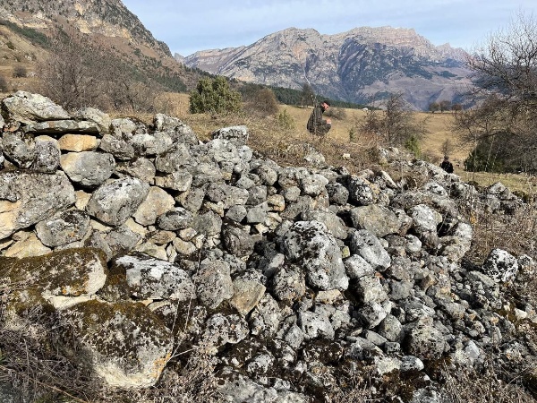 В ходе продолжающихся плановых работ по выявлению и  учету ранее не учтенных циклопических строений,  в Верхнем Озик зафиксировано 6 строений, а Верхнем Дошхакле отмечено 7 строений со смежными стенами.   

На башенных комплексах Кели и Верхний Кели, Средний Озик, Кхарт, Таргим аналогичные работы были проведены ранее.  В последующем они будут поставлены на государственный учет и нанесены на карту.