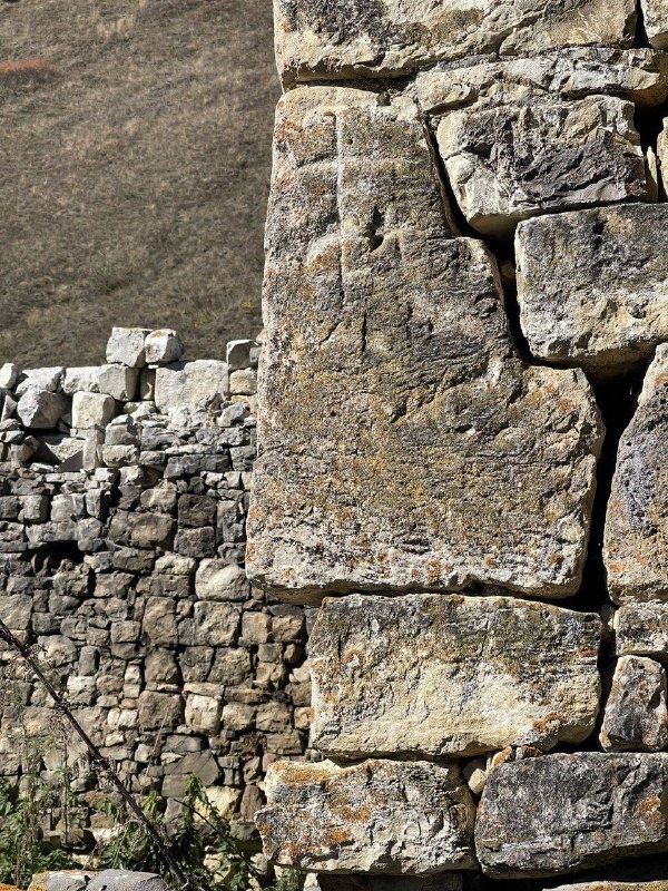 Сотрудники Джейрахско-Ассинского музея-заповедника, во время мониторинга башенного комплекса «Мухул», произвели фотофиксацию петроглифов, расположенных на жилой башне комплекса. Мухул – башенный комплекс к северо-западу от Гвези.

Петроглифы на камнях встречаются на всей территории горной Ингушетии – это одни из важных культовых составляющих. Помимо одиночных изображений человека и животных, часто встречаются фантастические и символические изображения, геометрические и другие абстрактные фигуры. Одни из них напоминают солярные знаки, а другие – графические знаки, напоминающие письменность.  Часто можно видеть высеченные на каменных плитах изображения человеческой руки.

Встречаются петроглифы, выполненные в точечной технике. Среди сюжетов петроглифов Ингушетии выделяются жанровые, изображающие сцены охоты, сотворения мира и др. Архитектурные сооружения, на которых они изображены, датируются 14-18 вв., однако совершенно очевидно, что камни с петроглифами в кладке этих башен используются повторно. Об этом свидетельствует расположение камней с петроглифами в кладке, которые отличаются от цвета камней основной кладки. Наибольшее число петроглифов обнаруживается на фасадах жилых башен, реже – на культовых постройках и боевых башнях. Иногда встречаются петроглифы на стелах.

Ингушский поэт А.Т. Хашагульгов, который посвятил много лет сбору этнографического материала, опросил многих стариков, собирая устаревшие слова и фольклорные мотивы, в своём стихотворении отмечает, что значение символов на камнях безвозвратно утеряно:

         Дисад маIан тIапа дешаш,

         Кусташ а кхераш тIа дехка

         ХIанз укхаза юха даьхка,

         Латт вай цар хьаркаш дешаш

(Дзаурова Т. А.-Х.  «Ингушский национальный орнамент»)

Исследователь Дозариев А.С. в своей научной публикации «О некоторых памятниках декоративно-графического искусства ингушей» пишет: 

«Как показывают исследования, нельзя с точностью говорить о том, с какой целью наносились те или иные петроглифы, хотя культово-магический контекст, здесь, кажется нам несомненным. При этом с уверенностью можно заявлять о том, что декоративно-графическое искусство ингушей уходит своими корнями в глубокую древность. Так, при детальном изучении этого культурного явления невозможно не заметить, например, сходства ингушских солярных знаков с изображениями на предметах кобанской культуры Кавказа, обнаруженных тут же в Ингушетии (Луговой могильник, I тыс. до н.э). Известные параллели обнаруживаются также в культуре древних шумеров, иранцев, кельтов и т.д.».

Материал подготовлен в целях защиты, сохранения и популяризации объектов культурного наследия республики. 