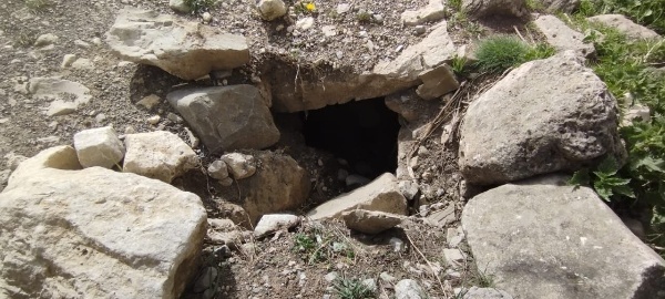 В Цори обнаружен ранее не известный древний подземный склеп.

Подземное строение находится возле двух надземных склеповых усыпальниц, расположенных рядом с проезжей частью. 

Небольшой лаз прямоугольной формы был прикрыт большим валуном. Внутри подземного каменного склепа сохранились костные останки.

После проведения соответствующих работ, объект будет включен в перечень выявленных объектов культурного наследия республики.