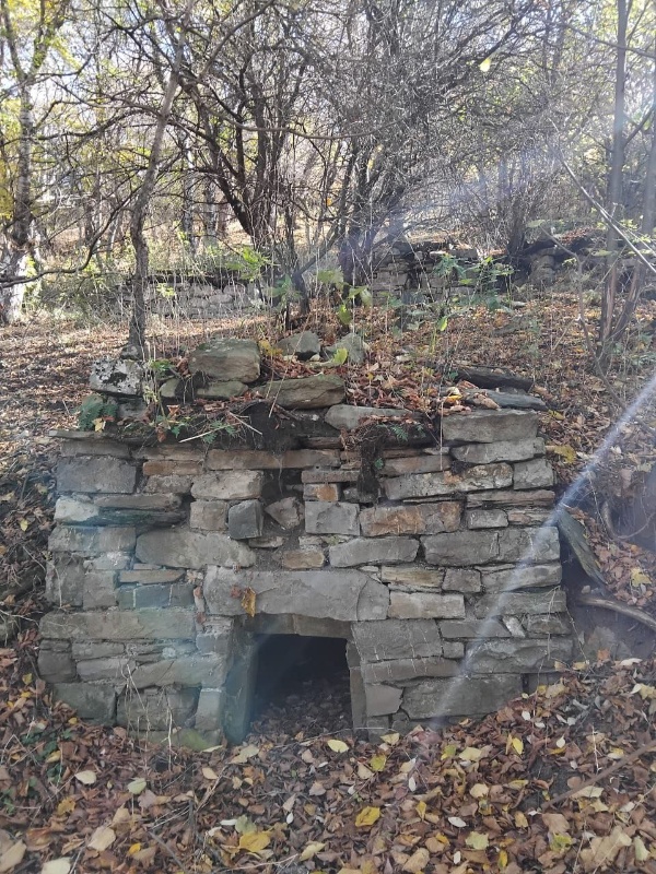 16 октября сотрудники музея-заповедника совершили инспекционную поездку к Шуанскому «Городку мертвых», расположенному в 1,0 км западнее башенного комплекса «Шоан», в местности Мохде.

Масштаб «Шуанкого городка мертвых» (Мохде) впечатляет – это крупнейший в крае и регионе некрополь, состоящий из более 200 подземных и полуподземных коллективных склеповых усыпальниц с останками периода позднего Средневековья.

Они отличаются значительными конструктивными особенностями и разнообразием: полностью погруженные в горный грунт и снаружи заметные по невысоким каменным столбикам и насыпям; с явственной выпуклостью, образованной сводом и невысокой фасадной стенкой с лазом; с подземной камерой, с двускатно-ступенчатой крышей, наполовину выходящей из-под земли.

В плане склепы прямоугольные, а погребальные камеры – часто, с каменными или деревянными полками, небольшими нишами, каменными ящиками, иногда устроенными в боковых стенах, тайниками и иными оригинальными конструктивными деталями.

Некоторые гробницы многокамерные и многоярусные. У ряда усыпальниц задняя стенка образована выступом скалы или выровненного горного склона, а также имеются специальные каменные лежанки для усопших. Крыша у построек чаще двускатная, реже плоская.

Этот уникальный склеповый некрополь стационарно изучался уже с конца XIX века В. Ф. Миллером, В. И. Долбежевым, Л. П. Семеновым, Ё. И. Крупновым, М. X. Катаевым, М. В. Мужухоевым, Д. Ю. Чахкиевым, Е. И. Нарожным, Р. А. Даутовой, X. М. Мамаевым и другими исследователями, в научных трудах которых даются общая и детальная характеристики многим местным гробницам, бытовавшему погребальному обряду, обнаруженным здесь весьма многочисленным и разнообразным находкам (в т. ч. глиняным кувшинам с древнегрузинскими надписями, золотоордынским монетам и т. д.). Результаты новейших научных изысканий позволяют отнести этот могильник в целом ко второй половине XIII—XV вв.

Из отмеченных, 77 могильников состоят на государственном учете, в дальнейшем работа по их включению в перечень выявленных объектов культурного наследия, а затем, после проведения историко-культурной экспертизы, - в единый государственный реестр ОКН РФ  будет продолжена.  