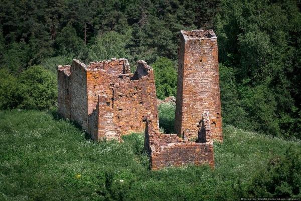 Уникальным явлением ингушской материальной культуры являются жилые башни, которые по мнению ряда исследователей, возникли из циклопических строений. Жилые башни ингуши называли г1ала, и они были самыми распространенными постройками в горной Ингушетии. В качестве жилья их использовали и в современной время, вплоть до 1942 года в них жили люди. По своему внешнему виду они отличаются от боевых башен. Строительство жилых башен датируется XII в. Кладка камня жилых башен произведена на извести. Секрет раствора с помощью которой делали кладку по настоящее время не раскрыт. Обычно эти строения состоят из двух-трех этажей, высотой они были от 10 до 12 метров.

Первые иллюстрации по ингушам и их башенным сооружениям появились в XIX в. Первые коллекции фотоснимков ингушей принадлежат Д. А. Никитину, Н. К. Зейдлицу, кавказоведу Ю.Ю. Карпову. Все они в разное время путешествовали по Кавказу. Ю.Ю. Карпов побывал в Ингушетии, в горных селениях Джейрах, Эрзи, Ляжги, Ольгетти, Бейни, Пуй, Мужичи и поднялся на Столовую гору, чтобы запечатлеть святилище Мятцели. О деятельности этих исследователей в своей работе пишет М. Албогачиева.

В представленной коллекции имеются фотографии боевых и жилых башен, виды горной местности, пейзажи, в количестве 82 фотографий, сделанных в горной части Ингушетии, 72 фотографий, отснятых в Чечне, и 14 фотографий — в Грузии. Для нас значительный интерес представляют фотографии архитектурных сооружений горной Ингушетии, сделанные в Джейрахе, Лежги, Эрзи, Ольгетти, Бейни, Пуй, Мужичи, где Ю. Ю. Карпову удалось запечатлеть все виды древних архитектурных сооружений горной Ингушетии.

В своей диссертационной работе С.Д. Сулименко дал типологию башенных сооружений, то есть показал их классификацию. Он пишет, что жилые-родовые башни - наиболее архаичный тип башенных сооружений. До XVIII вв. и даже позже жилые башни представляли архитектурное выражение мифологического синкретизма жизнедеятельности, в жилых башнях осуществлялись (или могли осуществляться) все виды деятельности: собственно жилая, хозяйственная, оборонная, сакральная.

В последнее время возрос интерес к башенным комплексам, к тайнам их строительства, что дает возможность людям, заинтересованным обращаться к различного рода источникам, позволяющим рассмотреть архитектурные детали ингушского зодчества.

Башенные строения из камня являлись надежной защитой от врагов, были долговечнее деревянных строений. Ингуши говорили: «Тепло тому, кто в башне живет и холодно тому, у кого нет своей родовой башни».

В центре жилой башни всегда находился опорный четырехгранный столб. Сложенные из очень крупных камней, в плане прямоугольные, кверху немного сужающиеся для устойчивости, жилые башни также могли использоваться как крепости
башни на уровне первого этажа, на стене были два выступающих камня, за которые привязывали лошадей. Это была коновязь.
Жилые башни разной сохранности находятся во всех селениях горной Ингушетии. Более сохранившиеся жилые башни находятся в следующих горных селениях: Эрзи, Эгикал, Бейни, Цори, Харпе, Фуртоуг, Ляжги, Салги, Лялах и т.д.
Во многих полуразрушенных жилых башнях сохранились опорные столбы четырехгранной формы с каменными подушками, которые стояли посередине башни, предназначенные для опоры балок перекрытий. К примеру, хорошо сохранившиеся опорные столбы мы можем наблюдать в жилых башнях – Харпе, Цори и т.д.