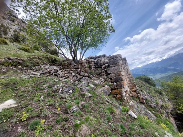 Келийское святилище находится севернее поселка Кели и северо-западнее селения Ког, на южном склоне горы Цей-Лам. Постройка одноэтажная,  полуразрушена, в плане прямоугольная, ориентирована по линии С-Ю и ранее располагала двускатно-ступенчатой крышей. Толщина стен 60 см, кладка полигональная. Святилище было обнаружено и подвергнуто археологическим раскопкам М.Б.Мужехоевым в 1980 г. Внутри святилища были обнаружены кости жертвенных животных, наконечники стрел, серьги, бусы, колокольчик. 
