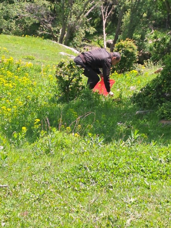 Сотрудники Джейрахско-Ассинского музея-заповедника и Комитета государственной охраны ОКН провели субботник на прилегающих территориях архитектурного комплекса «Эгикал», храмов «Тхаба-Ерды» и «Альби-Ерды». 

Сотрудниками был собран бытовой мусор и вывезен в специально отведенное место, также территория комплексов была очищена от сухостоя. 