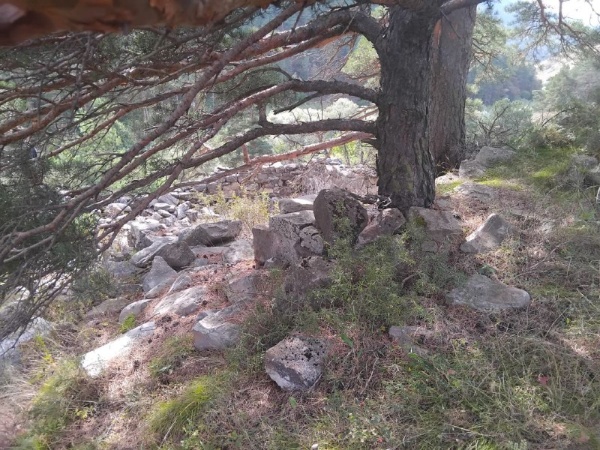 Сотрудники музея-заповедника совершили инспекционную поездку к наблюдательной башне Зем-г1ала.

Сторожевая башня «Зем-г1ала», находится в ущелье Гулой-хи, в 500 м юго-западнее башенного комплекса «Вовнушки»,   состояние руинированное, ранее была двухэтажная с хозяйственной пристройкой. Со слов местных жителей, имела наблюдательные функции.
Название Зем-г1ал, означает дословно «наблюдательная». От слова «Зем (б), — внимание, наблюдение.

Башня эта, судя по всему, была одним из звеньев мощной сигнально-оборонительной системы древней Ингушетии.