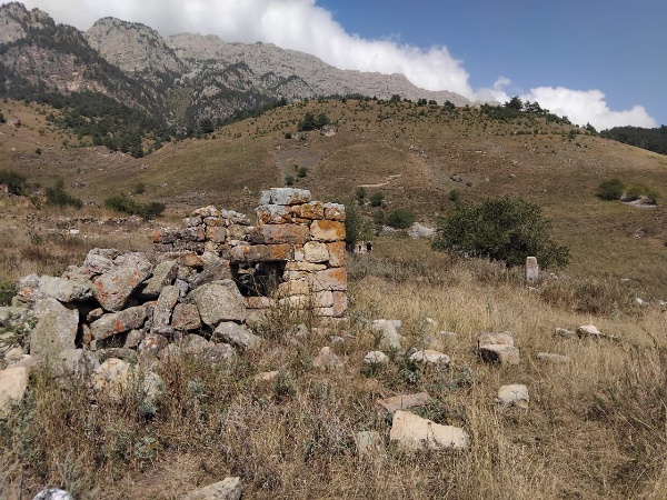 3 сентября и.о. директора Джейрахско-Ассинского музея-заповедника Ахмедхан Сампиев совершил инспекционную поездку к архитектурному комплексу «Б1арах».

«Б1арах" - архитектурный комплекс замкового типа на отроге горы Цорей-Лоам.  В 900 метрах к юго-востоку от Коали расположен Нижний Барах, а в 800 метрах юго-восточнее на гребне горного кряжа находится Верхний Барах, северо-восточнее от башенных  комплексов Герите и Таргим. Комплекс расположен на отметке 1500 м. над уровнем моря. Со всех сторон окружен горами.

Находится в Джейрахском районе Ингушетии, входит в сельское поселение Гули. Родовое село ингушского тейпа Б1арахой.

Согласно народному преданию, по одной из версий, комплекс основал в давние времена легендарный ингушский богатырь Барахо (Б1арахо-К1ант), сын Таргима. Вот что пишет об этом Ч.Ахриев в своём труде "Ингуши (их предания, верования и поверья)": "от Аэйги произошёл Барханло и основал аул Барким, от Таргима произошёл Барахо и основал аул Барах".

По другой легенде, Б1арах получил своё название от словосочетания "б1аь баьре" (100 всадников). Но эти всадники были необычными. Речь шла о воинах, которые могли молниеносно вступить в сражение. Кроме того, в случае необходимости несколько суток они могли вести осаду или дожидаться неприятеля. Так было, когда древний Барах задумывался как единый оборонительный комплекс. Сегодня Б1арах делится на два селения - комплекса - Верхний (старый Б1арах), и Нижний Б1арах. Они близки друг к другу. Сейчас комплекс почти весь разрушен, но в некоторых стенах сохранились арочные проемы и другие мелкие элементы.

Раньше здесь за высокой̆ оборонительной̆ стеной̆ стояли боевые башни. По сути, это был высокогорный̆ форпост в северной̆ части горной̆ Ингушетии. Вид из Верхнего Б1араха открывается панорамный̆. Просматриваются  ущелья и аулы от Хамхи, Эгикал, Таргим до Гаьнти, Пялинг, Ний, Никоте.

Рядом со склеповыми могильниками находятся мусульманские могилы. На стыке религий предки сохраняли преемственность и уважение к вере и почитание традиций праотцов. Устоял трехэтажный пирамидальный склеп, и рядом другой - с двускатной удлиненной кровлей. На первом сохранилось грубо, словно схематично, выполненное изображение человека. Руки лежат вдоль тела. Без оружия. Многие исследователи изучали этот склеп, пытаясь разгадать послание предков. Также в верхней части Нижнего Бараха стоит высокая антропоморфная стела, которая представляет большой научный интерес для многих исследователей (такие же стелы расположены на территории комплекса «Мяшхи»). В черте поселка также можно наблюдать столпообразное святилище.

Эта земля овеяна легендами. Из Б1араха вышли многие знаменитые ингуши. Например, Б1архой К1ант – известный̆ в народе как защитник страны, очень смелый, отважный, бескомпромиссный в борьбе со злом, а также яркие представители фамилии: религиозные деятели, участники войн, ученые, писатели, поэты, бизнесмены и спортсмены. 