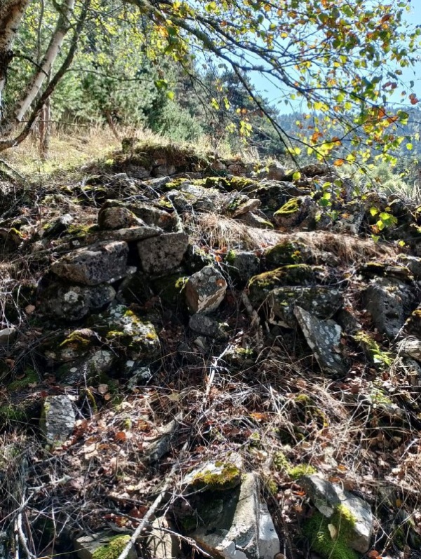 На территории комлекса «Лялах» обнаружена ранее не известная склеповая гробница.

Сотрудники музея-заповедника во время очередного обхода на территории «Лялах» - крупного башенного комплекса замкового типа, обнаружили ранее не известную наземную склеповую гробницу в руинированном виде.

Усыпальница находится на склоне горы, в юго-западном направлении от башен, в лесном массиве. Как известно, склеповые могильники возводились на окраинах поселений, на горных склонах.

Склеп полностью разрушен, сохранились лишь юго-западный и юго-восточный углы на высоту 0,7 и 0,8 м. Объект в плане прямоугольный, в основании имеет размеры 2,70 х 4,60, сложен из тесанного белого камня.

Для определения датировки объекта, выяснения наличия или отсутствия костного материала и воссоздания конструктивных особенностей сооружения требуются дальнейшие исследовательские работы.

Напомним, что  ранее, в ноябре прошлого года  на территории комплекса также были обнаружены коллективные гробницы подземного типа.
