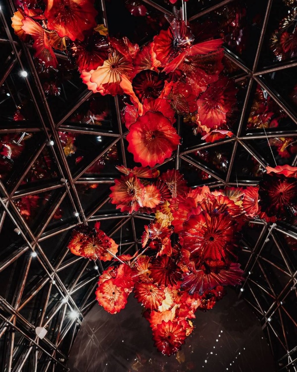 Уже летом в истории отеля "WAWELBERG" откроется новая глава - видовой двухуровневый пантхаус. Пространство на последних этажах станет флагманской резиденцией "WAWELBERG" - местом, где редкая архитектура, впечатляющая панорама Петербурга и приоритетный сервис соединятся в особый опыт проживания. Именно так отель продолжает свою философию: с вниманием к деталям и уважением к историческому контексту.

На первом уровне расположится панорамная гостиная с обеденной зоной и стильной барной стойкой. На втором, под куполом - просторная спальня с камином и отдельно стоящей ванной. Визуальным акцентом интерьера станет арт-объект Дейла Чихули - люстра "Коралловый закат".

Генеральный проектировщик отеля - "АСМ Групп".