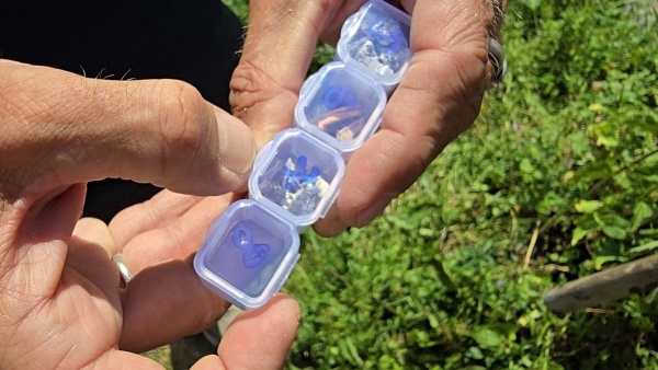 Вчера специалисты "АСМ Групп" отобрали пробы строительных материалов на нескольких башенных комплексах в горах Ингушетии. Пробы камня, растворов, обмазки и дерева будут отправлены в научные лаборатории Петербурга для изучения пород и составов.