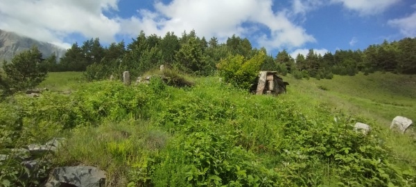 И.о. директора Джейрахско-Ассинского музея-заповедника А. Сампиев совершил инспекционную поездку в башенный комплекс «Гвези», расположенному в восточной части Гулойхийского ущелья Джейрахского района, пограничной зоне, в 400 метрах юго-восточнее «Кашети», на крутом горном склоне.

Лишь одна жилая башня комплекса сохранилась на высоту одного этажа, остальные постройки находятся в разрушенном состоянии. В черте поселка располагаются пять подземных коллективных склеповых гробниц и некрополь из каменноящичных захоронений.  На жилой башне комплекса, на арочном камне входного проема имеются петроглифы, в виде 3 отпечаток кистей рук – двух больших и одной маленькой.

Комплекс малоизвестен, редко посещаем и труднодоступен. Рядом расположены небольшие средневековые башенные поселения «Агутыр», «Кашети», «Оасег».

Летом прошлого года между поселениями Гвези и Агутыр было обнаружено кладбище с 13 надмогильными стелами и 5 раннемусульманскими могилами.