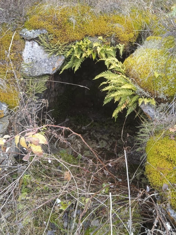 Сотрудники музея-заповедника во время инспекционного обхода, недалеко от башенного комплекса «Лялах» обнаружили неучтенные подземные склепы, в количестве трех штук.

Башенный комплекс Лялах — крупный поселок замкового типа в Чулхойском (Салгинском) ущелье. Построенный в XVI веке. С северо-запада территория поселка ограничена оврагом, по дну которого протекает ручей, с юга - обрывистым берегом речки Чулхи, с востока - неглубоким оврагом. На севере расположен Скалистый хребет и гора Цей-Лоам. В нижнем ряду поселка расположены три боевые башни, выше по склону, под их прикрытием, построены 22 жилые башни.

Два склепа относительно хорошей сохранности, по сравнению с третьим, размеры которого не представляется возможным определить.

Сотрудниками были проведены обмеры объекта, произведена фотофиксация.

Первый склеп имеет размеры в основании 3х3 м, глубина полтора метра, входной проем один. Второе сооружение с размерами в основании 3.5х3.5 м., глубина 1 м., крыша отсутствует. Третий склеп руинирован.

Работы проводятся в рамках плановых работ по фиксации и учету ранее не учтенных объектов культурного наследия.

Выявленные объекты будут включены в перечень выявленных объектов культурного наследия республики и введены в научный оборот, и они будут представлять интерес для всех, кто увлекается историей региона.