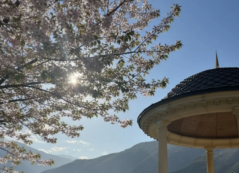 В рамках Года горных районов и развития МСП для Шаройского, Итум-Калинского и Шатойского районов будет разработан мастер-план.

В рамках объявленного в Чеченской Республике Года горных районов и развития малого и среднего предпринимательства будет разработан план для Шаройского, Итум-Калинского и Шатойского районов. 

Его и обсудили на встрече министра строительства, ЖКХ, топлива и энергетики ЧР Муслима Зайпуллаева с главой Администрации Шаройского муниципального района Рамазаном Магомедовым, в том числе реализацию мероприятий в рамках мастер-плана горных районов.

На встрече также были рассмотрены планы работы на текущий год. На территории села Химой Шаройского района ЧР планируется строительство очистных сооружений. Кроме этого, в Минстрой России направлены предложения о включении в перечень объектов отраслевой программы мероприятий по созданию централизованных систем водоснабжения в пяти населённых пунктах муниципалитета.

«Документ позволит детализировать перспективные направления развития каждого горного района, определенных мастер-планом Чеченской Республики. Среди приоритетных направлений – экотуризм, микроэнергетика, транспортная и цифровая связанность, экономики культурного наследия», – отметили в Минстрое ЧР.

В рамках плана в нынешнем году по нацпроекту «Инфраструктура для жизни» в селе Кенхи благоустроят мечетную площадь, за которую в рамках Всероссийского онлайн-голосования было отдано наибольшее количество голосов граждан.

Министр напомнил, что, учитывая историческое и природное наследие Шаройского района, как одного из самых живописных уголков республики, особенно важно уделять внимание формированию гармоничного архитектурного стиля муниципалитета.