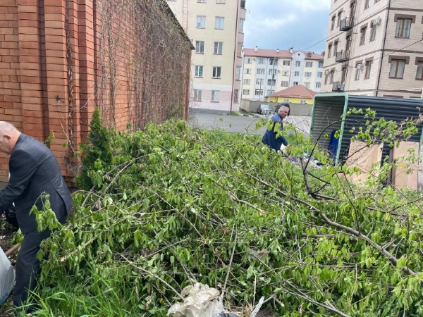 On April 26, the Committee for State Protection of Cultural Heritage of the Republic of Ingushetia together with the State Cultural Institution “Jeyrakh-Assinsky Historical-Architectural and Natural Museum-Reserve” held the All-Russian Saturday clean-up day.