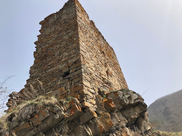 Башенный комплекс «Аршауг» расположен в Джейрахском районе, в 0,3 км западнее Цори, на гребне горного кряжа, высотой 40-50 метров.

Комплекс состоит из сильно поврежденных и полуразрушенных 1 боевой и 7 жилых башен, а также каменной ограды, 6 надгробных сооружений, 2 оборонительных стен, 3 коллективных усыпальниц, стел и руин каменных построек.

Боевая и жилые башни ранее, с помощью каменной оборонительной стены, были объединены в единый замковый комплекс периода позднего средневековья.

Боевая башня в плане прямоугольная, пятиэтажная, имела плоскую кровлю с зубчатым завершением, сохранилась на всю высоту, ориентирована на запад.

Жилые башни в основании прямоугольные, некогда трехэтажные, с плоской кровлей и высоким парапетом. На них сохранились разнотипные дверные и оконные проемы, линейные углубления для деревянных настилов, а также ниши, тайнички и другие конструктивные детали.

С холма, на которой расположен Аршауг открывается живописный вид на башенный комплекс Цори.

Аршауг – выявленный объект культурного наследия республики Ингушетии, находится в границах территории Джейрахско-Ассинского музея-заповедника, подлежит государственной охране.
