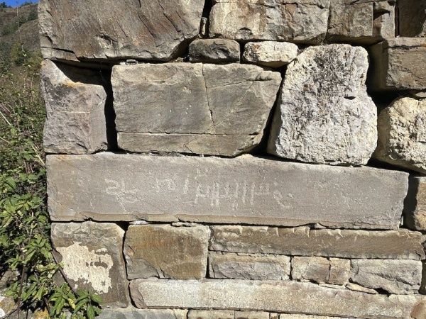 Сотрудники Джейрахско-Ассинского музея-заповедника, во время мониторинга башенного комплекса «Мухул», произвели фотофиксацию петроглифов, расположенных на жилой башне комплекса. Мухул – башенный комплекс к северо-западу от Гвези.

Петроглифы на камнях встречаются на всей территории горной Ингушетии – это одни из важных культовых составляющих. Помимо одиночных изображений человека и животных, часто встречаются фантастические и символические изображения, геометрические и другие абстрактные фигуры. Одни из них напоминают солярные знаки, а другие – графические знаки, напоминающие письменность.  Часто можно видеть высеченные на каменных плитах изображения человеческой руки.

Встречаются петроглифы, выполненные в точечной технике. Среди сюжетов петроглифов Ингушетии выделяются жанровые, изображающие сцены охоты, сотворения мира и др. Архитектурные сооружения, на которых они изображены, датируются 14-18 вв., однако совершенно очевидно, что камни с петроглифами в кладке этих башен используются повторно. Об этом свидетельствует расположение камней с петроглифами в кладке, которые отличаются от цвета камней основной кладки. Наибольшее число петроглифов обнаруживается на фасадах жилых башен, реже – на культовых постройках и боевых башнях. Иногда встречаются петроглифы на стелах.

Ингушский поэт А.Т. Хашагульгов, который посвятил много лет сбору этнографического материала, опросил многих стариков, собирая устаревшие слова и фольклорные мотивы, в своём стихотворении отмечает, что значение символов на камнях безвозвратно утеряно:

         Дисад маIан тIапа дешаш,

         Кусташ а кхераш тIа дехка

         ХIанз укхаза юха даьхка,

         Латт вай цар хьаркаш дешаш

(Дзаурова Т. А.-Х.  «Ингушский национальный орнамент»)

Исследователь Дозариев А.С. в своей научной публикации «О некоторых памятниках декоративно-графического искусства ингушей» пишет: 

«Как показывают исследования, нельзя с точностью говорить о том, с какой целью наносились те или иные петроглифы, хотя культово-магический контекст, здесь, кажется нам несомненным. При этом с уверенностью можно заявлять о том, что декоративно-графическое искусство ингушей уходит своими корнями в глубокую древность. Так, при детальном изучении этого культурного явления невозможно не заметить, например, сходства ингушских солярных знаков с изображениями на предметах кобанской культуры Кавказа, обнаруженных тут же в Ингушетии (Луговой могильник, I тыс. до н.э). Известные параллели обнаруживаются также в культуре древних шумеров, иранцев, кельтов и т.д.».

Материал подготовлен в целях защиты, сохранения и популяризации объектов культурного наследия республики. 