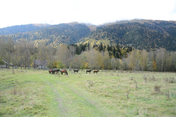 Карачаево-Черкесская Республика – новая территория в системе.

Работы по внедрению Национальной системы «Территория» начаты в Урупском районе на участке Псемен - Рожкао – Дамхурц - Пхия и до перевала на Архыз.

Первый этап внедрения планируется завершить весной 2025 года.