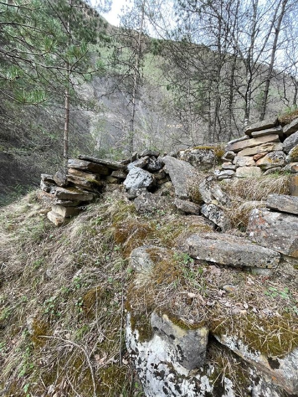 В эти дни, в ходе мониторинга башенных комплексов, сотрудниками Джейрахско-Ассинского музея-заповедника были проведены полевые работы по обмерам, фотофиксации и описанию объектов культурного наследия, отсутствующих в перечне выявленных объектов культурного наследия.  

Три неучтенные речные мельницы расположены по руслу рек, в южной части «Среднего Оздика» и в восточных частях комплексов  «Меллер», «Верхний Гули». В основании последнего объекта сохранился арочный камень входного проема.  Строения имеют округлую форму, состояние руинированное.

Результаты проведенных работ будут представлены в Комитет государственной охраны объектов культурного наследия республики для принятия дальнейших мер реагирования.