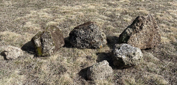 На днях на территории храма «Тхаба-Ерды» сотрудником музея-заповедника были обнаружены интересные барельефные камни, в количестве 5 штук. За профессиональным мнением о ценности находки мы обратились к известному археологу нашей республики Умалату Гадиеву, который отметил, что «фрагменты выявленных камней, очевидно, являются частью некогда декоративной отделки храма Тхаба-Ерды». 

«Изготовлены они в большинстве своём из кусков мягких известковых пород "ширими", хорошо поддающихся обработке. Это фрагменты карнизных блоков, и, по-видимому, части  обрамления оконных и дверных проёмов. Остальные требуют дальнейшей  интерпретации. Находки интересны и должны быть тщательно исследованы и переданы в государственную часть музейного фонда» - заключил ученый.

Все найденные исторические реликвии передаются в краеведческий музей республики, где в последующем они будут использованы при реставрации объектов культурного наследия.  

Для того, чтобы изучить историю своего народа, не надо далеко ходить, история у нас под ногами, на каждом шагу.  В горах Ингушетии мы часто встречаем отголоски нашего прошлого – памяти наших предков, нашей истории. Находки последнего времени свидетельствую о том, что страницы истории можно открывать каждый день, ежечасно и ежеминутно.