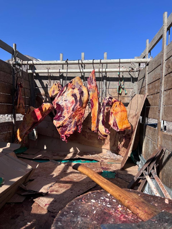 Продовольственная ярмарка в период месяца Рамадан, организованная  Минсельхозом Ингушетии по поручению Главы региона, прошла сегодня в Джейрахском районе (при въезде в с.п. Джейрах).

На ярмарках у жителей была  хорошая возможность приобрести качественную продукцию местных сельхозтоваропроизводителей по доступным ценам. 

Здесь в широком ассортименте было представлено мясо, и колбасные изделия, зерно, виды сезонных фруктов и овощей.