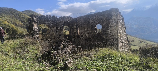 Сотрудники музея-заповедника в рамках плана работ по выявлению и учету ранее неучтенных объектов культурного наследия нашли на территории башенного комплекса «Бейни» ранее не учтенные основания 5 жилых башен с сохранившимися фрагментами стен и 1 подземный могильник с циклопической кладкой камня, обладающие признаками объектов культурного наследия.

По предварительным данным, одна из выявленных жилых башен расположена между двумя другими, образуя закрытый внутренний двор. Вход в этот двор находится с одной стороны, а выход — с другой. В башенных поселениях жилые башни часто располагались группами по фамильным кварталам вместе с пристройками и заградительными стенами.

Остальные 4 жилые башни распределены по всему комплексу. Некоторые из них сохранили арочные камни, отверстия для балок, одна башня сохранила три входных проема. 

Подземный могильник расположен в центре поселения. Входной проем открыт, сквозь который можно разглядеть костные останки. Прямо за этим могильником находится небольшое помещение, которое по внешнему виду напоминает поминальную камеру. Однако для точного определения его назначения необходимо провести археологические раскопки.

Полевые исследования на этом объекте, включающие выявление, описание, измерение и фотографирование, еще не завершены. Работы будут продолжены в ближайшее время.

Башенный комплекс «Бейни» расположен у подножия горы Маьт-Лоам. На стенах и дверных проемах у жилых башен можно видеть линейные петроглифы и другие изображения.
