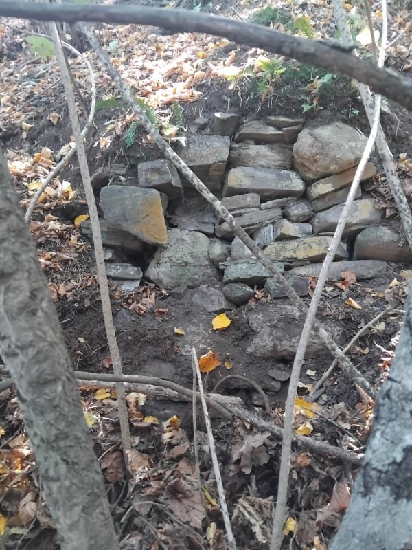 17 августа в ходе очередного осмотра, сотрудниками музея-заповедника на территории архитектурного комплекса «Верхний Пуй» обнаружены, ранее не учтенные 3 подземные склеповые усыпальницы. 

«Верхний Пуй» – небольшой башенный поселок замкового типа, расположен в Джейрахском районе, южной части Таргимской котловины, под горой Молельня. Состоит из одной полубоевой, которая сохранилась на высоту четыре яруса и полуразрушенных жилых 
башен.

Обнаруженные склепы расположены в 150-300 м. юго-западнее комплекса в лесном массиве.

Выявленные объекты культурного наследия для обеспечения их целостности и сохранности, проведя соответствующие  работы, будут включены в перечень выявленных ОКН Республики Ингушетия.