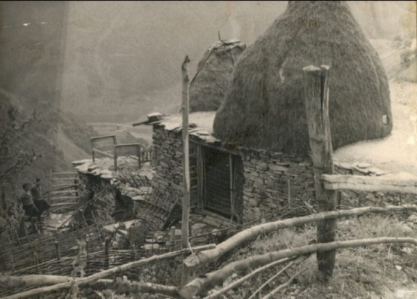 Центральный государственный исторический архив Грузии, расположенный в Тбилиси, продолжает выдавать историкам "АСМ Групп" уникальные исторические фотографии горной Ингушетии. На сегодняшних снимках - исчезнувшие постройки Башенного комплекса Эрзи.