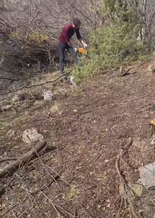 Если кто-то продолжает считать, что работы по выявлению исторических построек в горной части Ингушетии - это легкая работа, - приехал, посмотрел, отфотографировал, что-то записал в блокнотик, - и все, то вы очень глубоко заблуждаетесь. 

Работы на каждом комплексе и на каждом локальном объекте начинаются с зачистки территории, что частенько занимает несколько дней. Расчистка от десятков деревьев и кустов, уничтожающих своей корневой системой уникальные памятники - нелегкий физический труд. 

Только после полной зачистки территории башенного комплекса, поочередно выходят три группы специалистов на изучение, описание, фиксацию и сканирование уникальных средневековых объектов.

Нередко полный цикл полевых работ только на одном комплексе занимает практически месяц.

Работы проводятся "АСМ Групп" при полной поддержке Благотворительного фонда "САФМАР".