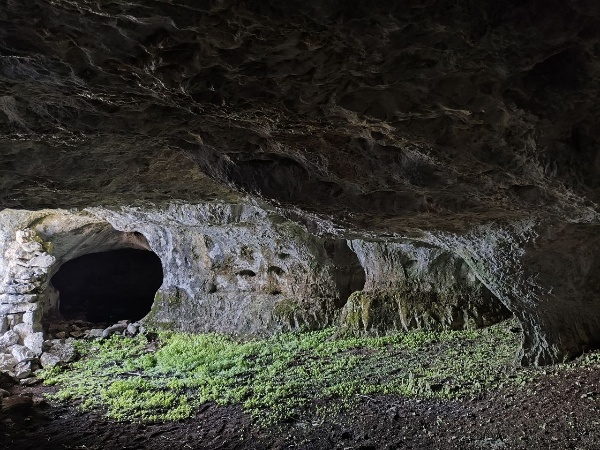 Сотрудники Джейрахско-Ассинского музея-заповедника, в рамках плана работы по выявлению и учету ранее неучтенных памятников архитектуры, и партнеры учреждения, в рамках внедрения на территории музея-заповедника Национальной системы управления объектами и безопасностью «Территория», провели совместные исследования наскальных строений пещерного типа на южном склоне Столовой горы в Джейрахском районе.

В результате проведенных мероприятий, определены локации 6 строений, произведены замеры фронтальных и внутренних частей помещений, произведена фотофиксация.

Так, сотрудниками музея-заповедника в процессе работы были отмечены следующие интересные детали наскальных строений:

Фронтальная часть первого строения представлена сплошной кладкой арочной формы, закрывающей вход в пещеру, имеется входной проем и маленькое окно над проемом.

У второго строения имеются около десятка маленьких отверстий, вероятно бойниц по всей площади фронтальной стены.

Лицевая часть четвертого строения состоит из двух кладок, разделяемых скальной породой. Кладки закрывают две соединенные между собой пещеры. Напротив входного проема есть углубление в скальную часть глубиной 6,7 м, высотой не более 1,5 м., на стене заметны выступы для перекрытий второго яруса.

В левой части шестого строения наблюдается углубление, образующее отдельное помещение, глубина которого составляет 7,7 м, ширина – 4,2 м.
         
Это промежуточные результаты проведенных исследований, работа в этом направлении продолжается, по неуточненным данным на склонах Столовой горы имеются около трех десятков наскальных строений, они все будут учтены и Приказом Комитета государственной охраны объектов культурного наследия республики Ингушетия поставлены на государственный учет.  