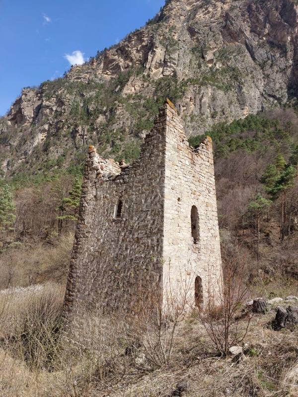 Специалисты "АСМ Групп" вручную расчистили уникальнейшие объекты культурного наследия башенного комплекса "Гьаги Г1алаш" в горной Ингушетии от обильно разросшихся кустарников и мелких деревьев, продолжавших до сегодняшнего дня разрушать каменную кладку сохранившихся стен и сторожевой башни.