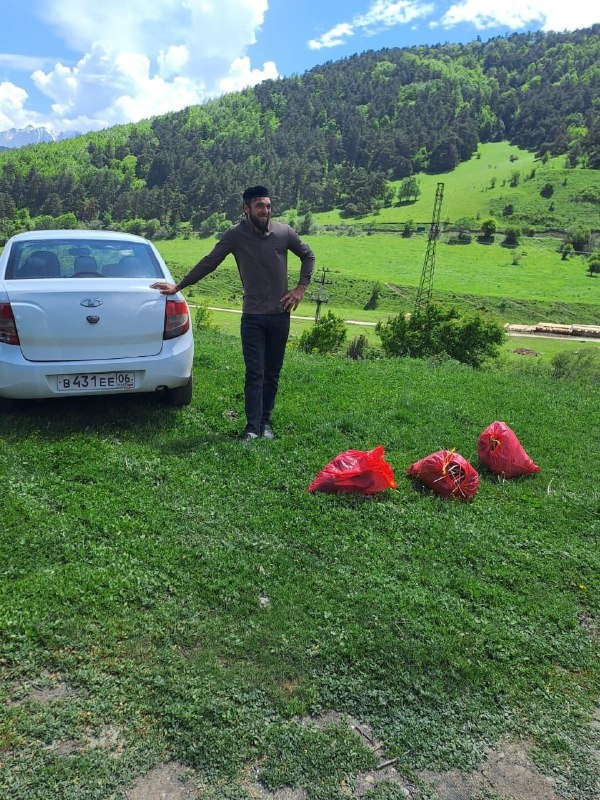 Сотрудники Джейрахско-Ассинского музея-заповедника и Комитета государственной охраны ОКН провели субботник на прилегающих территориях архитектурного комплекса «Эгикал», храмов «Тхаба-Ерды» и «Альби-Ерды». 

Сотрудниками был собран бытовой мусор и вывезен в специально отведенное место, также территория комплексов была очищена от сухостоя. 