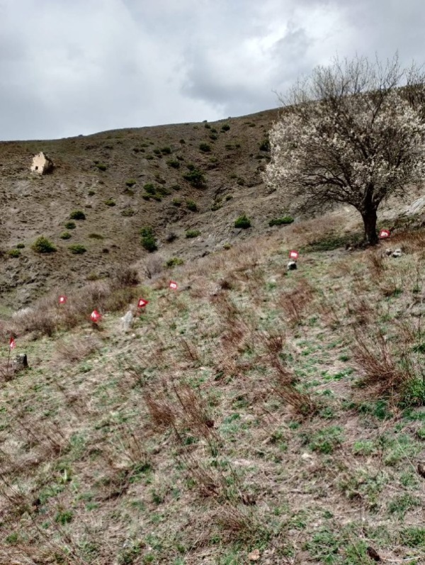 На территории башенного комплекса «Тярш» выявили ранее не учтенные ОКН.
 
В эти дни сотрудниками музея-заповедника, в рамках плана работ по выявлению и учету ранее неучтенных памятников архитектуры, на территории башенного комплекса «Таьрш» выявили раннее не учтенное раннемусульманское кладбище с 9 стелами. 
 
Тярш — крупный башенный поселок замкового типа, расположен на отроге горы Маьт-Лоам, в 0,9 км восточнее комплекса «Эгенты». 
          
Сотрудниками учреждения были проведены обмеры объектов, произведена фотофиксация. Высота стел от 30 до 50  см., расстояние между ними от 1 до 3 м.  После проведения соответствующих работ, объекты будут внесены в перечень выявленных объектов культурного наследия республики.