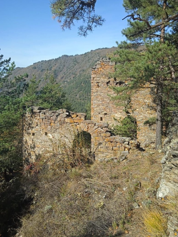 Уникальным явлением ингушской материальной культуры являются жилые башни, которые по мнению ряда исследователей, возникли из циклопических строений. Жилые башни ингуши называли г1ала, и они были самыми распространенными постройками в горной Ингушетии. В качестве жилья их использовали и в современной время, вплоть до 1942 года в них жили люди. По своему внешнему виду они отличаются от боевых башен. Строительство жилых башен датируется XII в. Кладка камня жилых башен произведена на извести. Секрет раствора с помощью которой делали кладку по настоящее время не раскрыт. Обычно эти строения состоят из двух-трех этажей, высотой они были от 10 до 12 метров.

Первые иллюстрации по ингушам и их башенным сооружениям появились в XIX в. Первые коллекции фотоснимков ингушей принадлежат Д. А. Никитину, Н. К. Зейдлицу, кавказоведу Ю.Ю. Карпову. Все они в разное время путешествовали по Кавказу. Ю.Ю. Карпов побывал в Ингушетии, в горных селениях Джейрах, Эрзи, Ляжги, Ольгетти, Бейни, Пуй, Мужичи и поднялся на Столовую гору, чтобы запечатлеть святилище Мятцели. О деятельности этих исследователей в своей работе пишет М. Албогачиева.

В представленной коллекции имеются фотографии боевых и жилых башен, виды горной местности, пейзажи, в количестве 82 фотографий, сделанных в горной части Ингушетии, 72 фотографий, отснятых в Чечне, и 14 фотографий — в Грузии. Для нас значительный интерес представляют фотографии архитектурных сооружений горной Ингушетии, сделанные в Джейрахе, Лежги, Эрзи, Ольгетти, Бейни, Пуй, Мужичи, где Ю. Ю. Карпову удалось запечатлеть все виды древних архитектурных сооружений горной Ингушетии.

В своей диссертационной работе С.Д. Сулименко дал типологию башенных сооружений, то есть показал их классификацию. Он пишет, что жилые-родовые башни - наиболее архаичный тип башенных сооружений. До XVIII вв. и даже позже жилые башни представляли архитектурное выражение мифологического синкретизма жизнедеятельности, в жилых башнях осуществлялись (или могли осуществляться) все виды деятельности: собственно жилая, хозяйственная, оборонная, сакральная.

В последнее время возрос интерес к башенным комплексам, к тайнам их строительства, что дает возможность людям, заинтересованным обращаться к различного рода источникам, позволяющим рассмотреть архитектурные детали ингушского зодчества.

Башенные строения из камня являлись надежной защитой от врагов, были долговечнее деревянных строений. Ингуши говорили: «Тепло тому, кто в башне живет и холодно тому, у кого нет своей родовой башни».

В центре жилой башни всегда находился опорный четырехгранный столб. Сложенные из очень крупных камней, в плане прямоугольные, кверху немного сужающиеся для устойчивости, жилые башни также могли использоваться как крепости
башни на уровне первого этажа, на стене были два выступающих камня, за которые привязывали лошадей. Это была коновязь.
Жилые башни разной сохранности находятся во всех селениях горной Ингушетии. Более сохранившиеся жилые башни находятся в следующих горных селениях: Эрзи, Эгикал, Бейни, Цори, Харпе, Фуртоуг, Ляжги, Салги, Лялах и т.д.
Во многих полуразрушенных жилых башнях сохранились опорные столбы четырехгранной формы с каменными подушками, которые стояли посередине башни, предназначенные для опоры балок перекрытий. К примеру, хорошо сохранившиеся опорные столбы мы можем наблюдать в жилых башнях – Харпе, Цори и т.д.