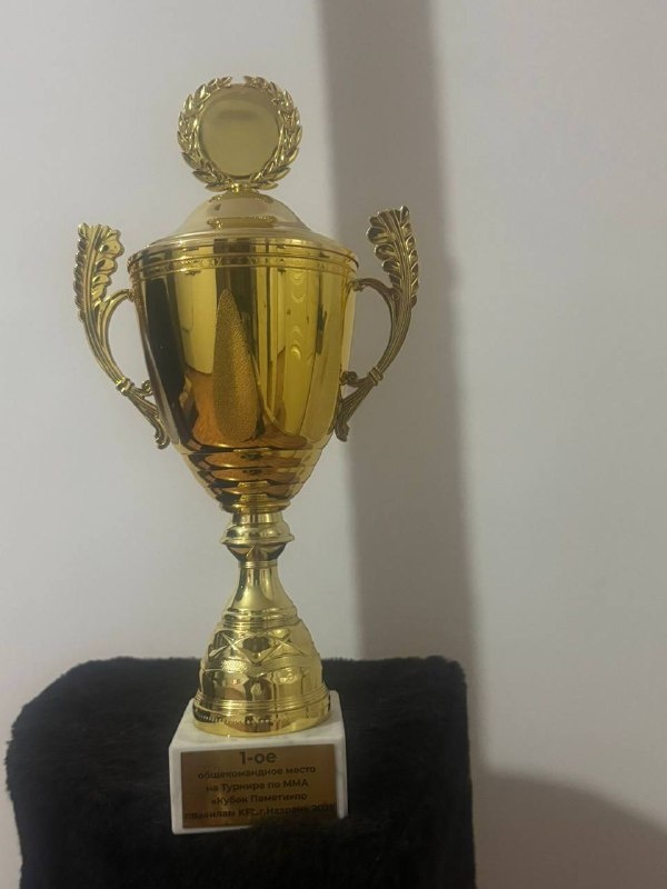 Спортсмены спортивного клуба «Гладиатор», основанного на базе МКУ ДО ДЮСШ Джерахского района, блестяще выступили на турнире по смешанным единоборствам (ММА), проходившем в городе Назрань.  

Под руководством опытных наставников — тренера Адама Ганиева и тренера Султана Льянова, команда продемонстрировала высокий уровень подготовки, технику и волю к победе. Итоги турнира стали триумфальными: клуб завоевал первое командное место среди всех участников соревнований республики! 